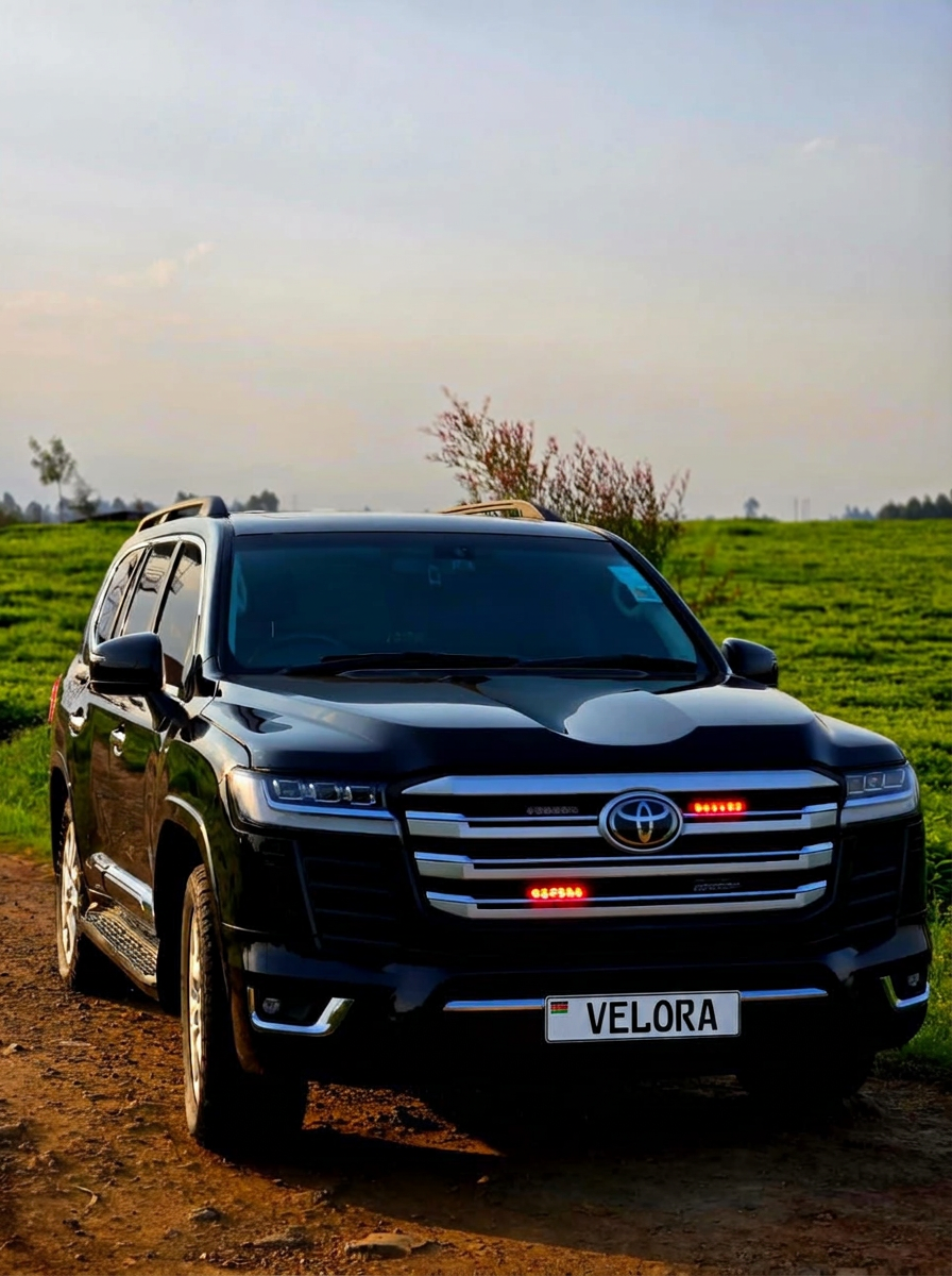 Toyota Land Cruiser V8