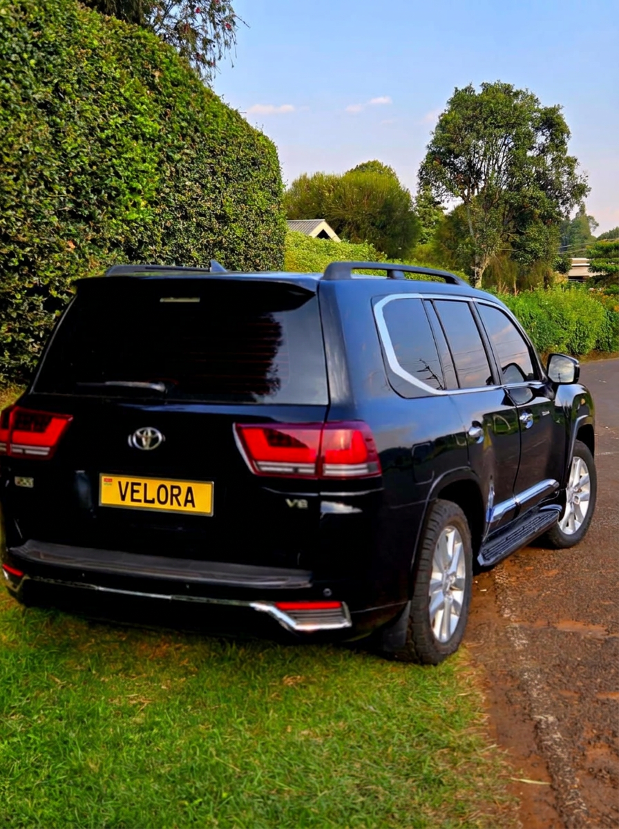 Toyota Land Cruiser V8 — Rear view
